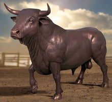 Load image into Gallery viewer, SPANISH FIGHTING BULL (NOT IN AUS)
