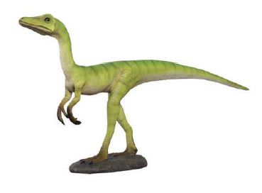 COMPSOGNATHUS