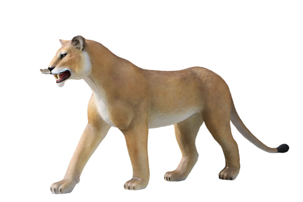 PH Studio: Walking Lioness - MOQ 1