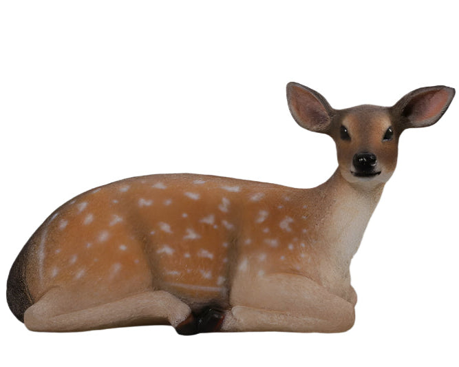 FALLOW DEER- FAWN LYING DOWN