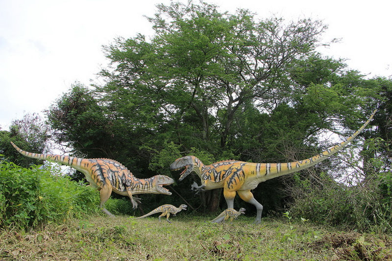 FEMALE AUSTRALOVENATOR - GELCOAT VERSION