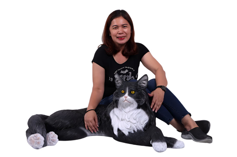 MAINE COON CAT