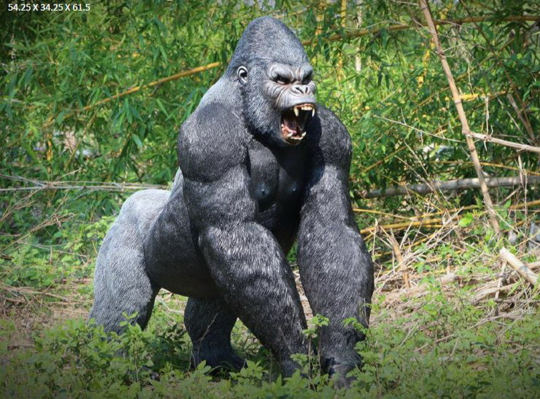 MALE GORILLA-LARGER THAN LIFE