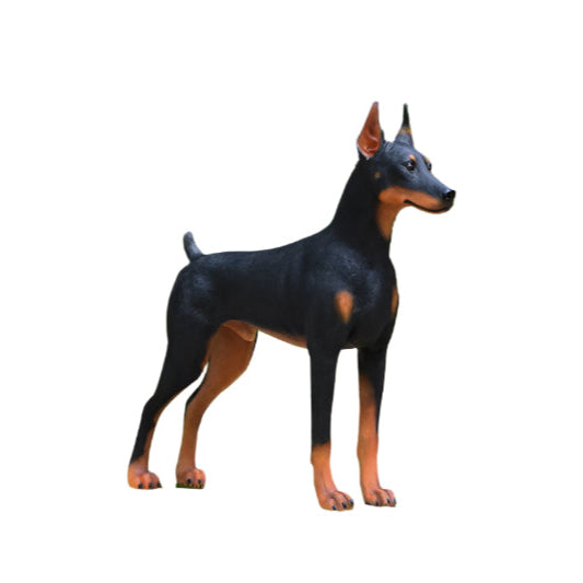 STANDING DOBERMAN