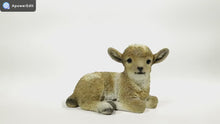 Load and play video in Gallery viewer, 87946-D - LAMB LYING DOWN - BROWN/WHITE-SMALL
