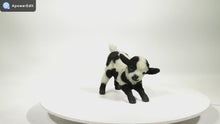 Load and play video in Gallery viewer, 87946-C - LAMB PLAYING - BLACK/WHITE-SMALL
