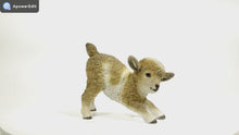 Load and play video in Gallery viewer, 87946-B - LAMB PLAYING - BROWN/WHITE-SMALL
