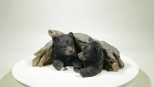 Load and play video in Gallery viewer, 87957-E - BLACK BEAR CUBS HIDING UNDER LOG STATUE (HI-LINE EXCLUSIVE)
