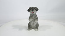 Load and play video in Gallery viewer, 87703-S - STANDING MINIATURE SCHNAUZER
