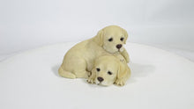 Load and play video in Gallery viewer, 87637-B - BABY LABRADORS PLAYING
