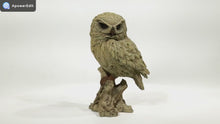 Load and play video in Gallery viewer, 87650-O - TRUMPET OWL -DRIFTWOOD LOOK-
