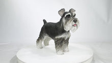 Load and play video in Gallery viewer, 87983-A - STANDING MINIATURE SCHNAUZER
