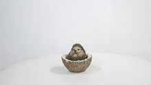 Load and play video in Gallery viewer, 87743-D - COCONUT HEDGEHOG
