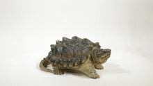 Load and play video in Gallery viewer, 87658 - SNAPPING TURTLE STATUE (HI-LINE EXCLUSIVE)
