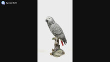 Load and play video in Gallery viewer, 87758-L - GREY GABON PARROT ON STUMP
