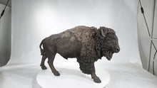 Load and play video in Gallery viewer, 87652-A - LARGE SIZE BISON ORNAMENT
