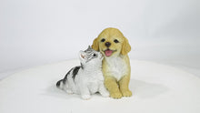 Load and play video in Gallery viewer, 87637-C - GOLDEN RETRIEVER &amp; KITTEN

