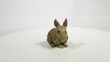 Load and play video in Gallery viewer, 87650-D - RABBIT-SMALL -DRIFTWOOD LOOK-
