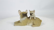 Load and play video in Gallery viewer, 87638-C - MOTHER &amp; BABY FRENCH BULLDOG
