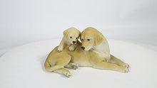Load and play video in Gallery viewer, 87638-B - MOTHER &amp; BABY LABRADOR
