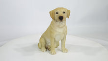 Load and play video in Gallery viewer, 87985-YL-B - SITTING BROWN LABRADOR
