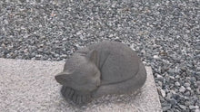 Load and play video in Gallery viewer, 77131-A - GRACEFUL SLUMBER CURLED SLEEPING CAT
