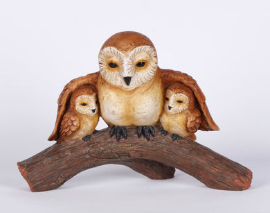 OWL FAMILY