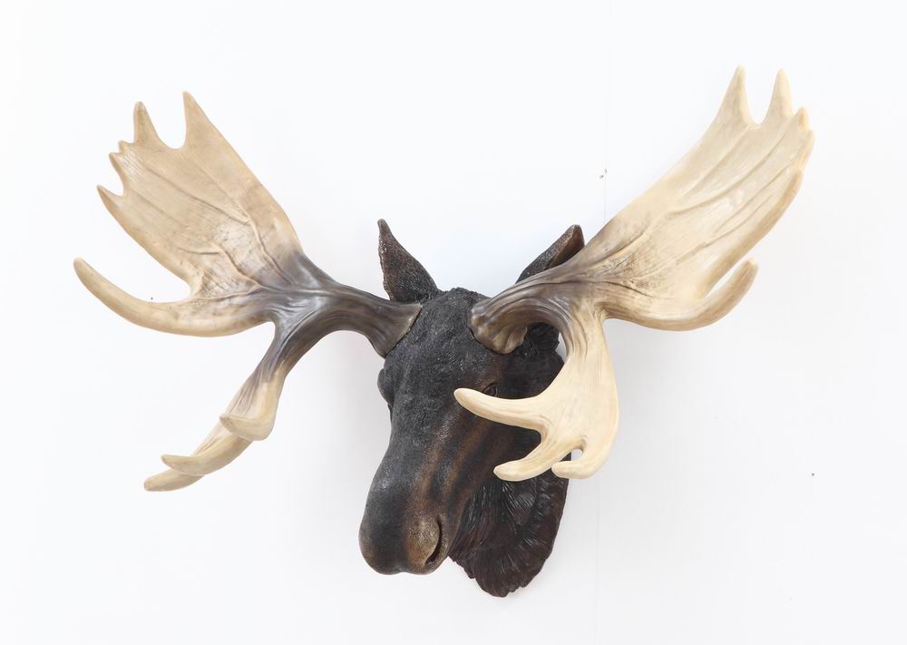 MOOSE HEAD HANGS ON WALL