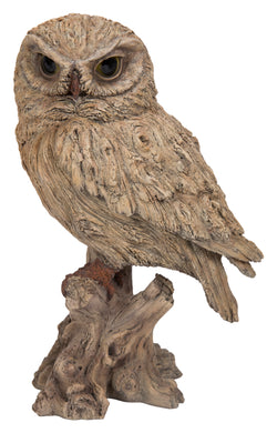 TRUMPET OWL -DRIFTWOOD LOOK-