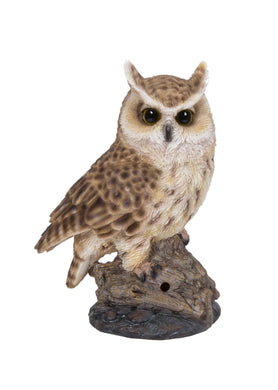 MOTION ACTIVATED SINGING LONG EARED OWL STANDING ON STUMP