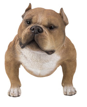 Load image into Gallery viewer, WALKING BULLY DOG - BROWN
