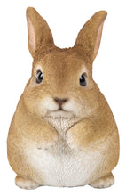 Load image into Gallery viewer, RABBIT CHUBBY STANDING
