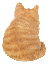 Load image into Gallery viewer, CAT-KITTEN SLEEPING - ORANGE TABBY
