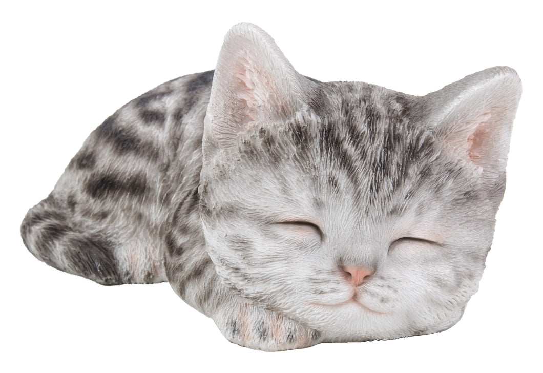 CAT-KITTEN SLEEPING - GREY TABBY