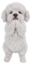 Load image into Gallery viewer, DOG-POODLE PUPPY PLAYING
