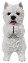 Load image into Gallery viewer, DOG-WESTIE PLAYING
