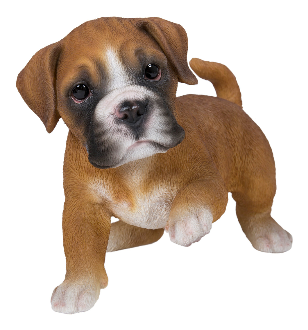 DOG-BOXER PUPPY PLAYING