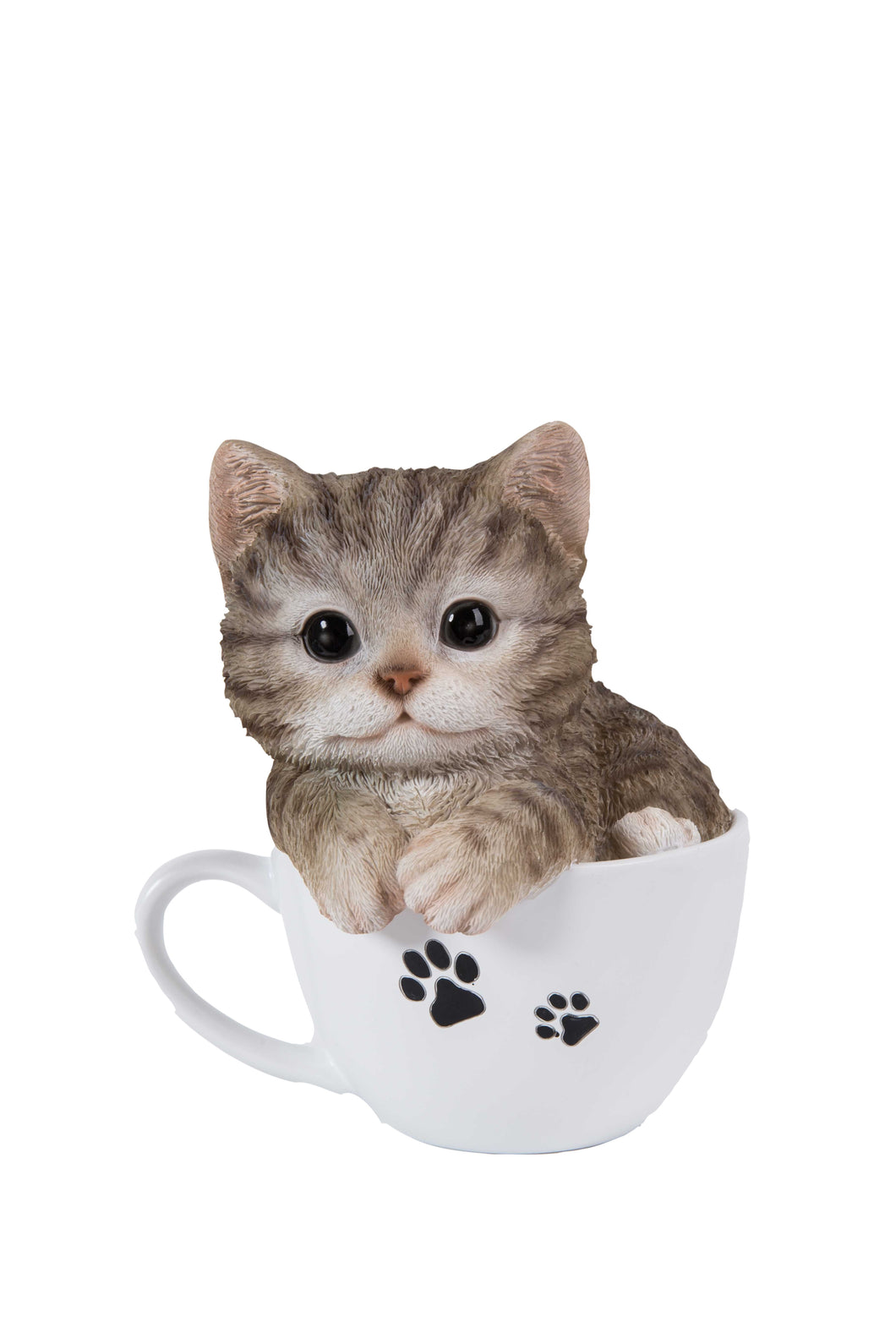 PET PALS - TEACUP KITTEN GREY TABBY