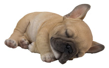 Load image into Gallery viewer, PET PALS - FRENCH BULLDOG PUPPY SLEEPING
