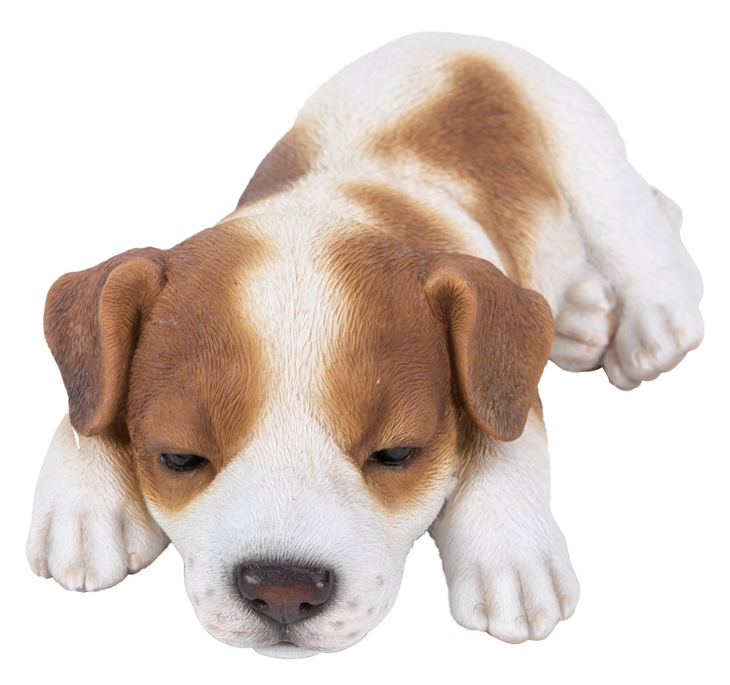 PET PALS - JACK RUSSELL PUPPY SLEEPING