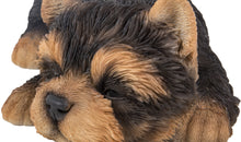 Load image into Gallery viewer, PET PALS - YORKSHIRE TERRIER PUPPY SLEEPING
