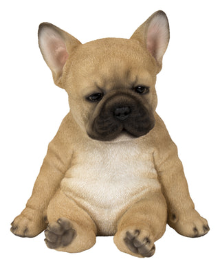 SITTING SLEEPY FRENCH BULLDOG PUPPY STATUE (HI-LINE EXCLUSIVE)