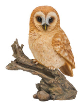 Load image into Gallery viewer, TAWNY OWL ON STUMP
