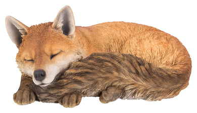 FOX SLEEPING