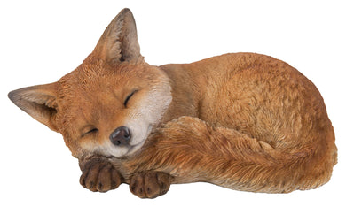 FOX PUP SLEEPING