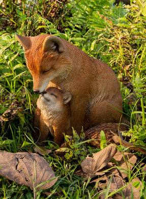 MOTHER&BABY FOX