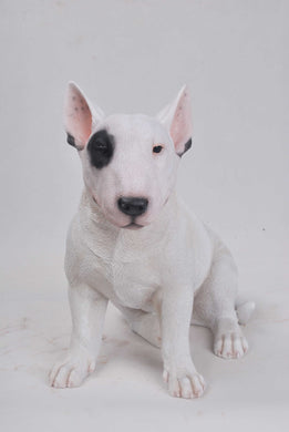 DOG-BULL TERRIER