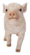 Load image into Gallery viewer, BABY PIG STANDING - PINK
