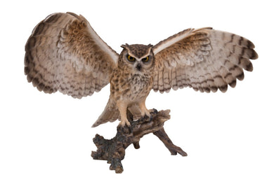 EAGLE OWL ON BRANCH W/WINGS OUT