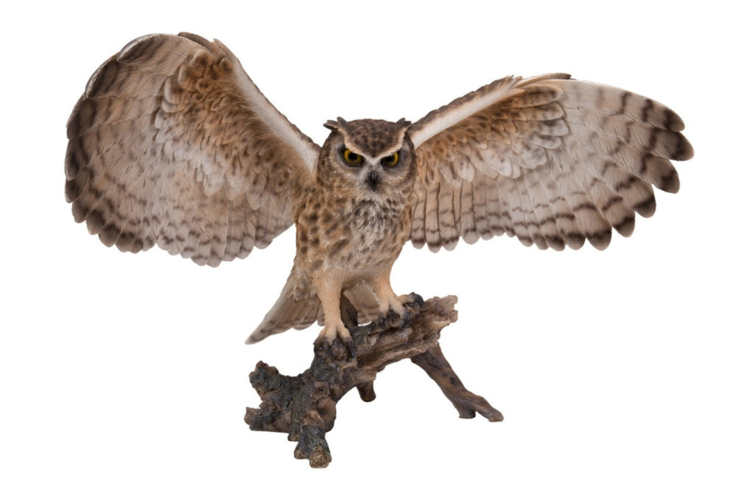 EAGLE OWL ON BRANCH W/WINGS OUT
